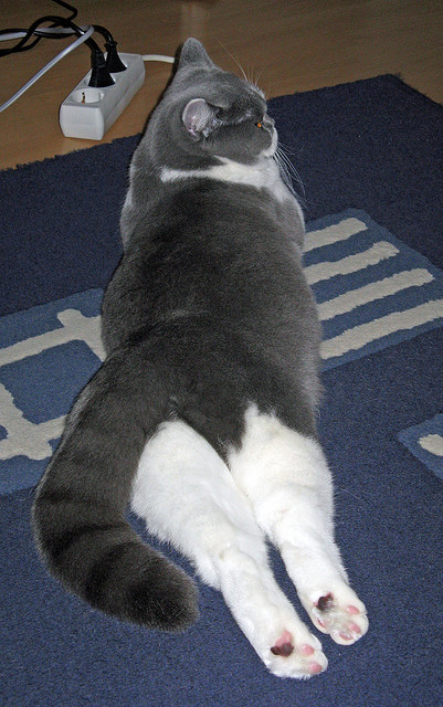 掩护换防节奏中是否容易出现防守漏洞，防守掩护配合有哪四种